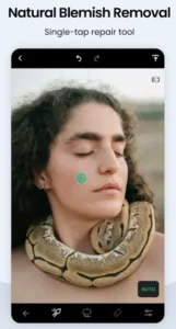 TouchRetouch MOD APK